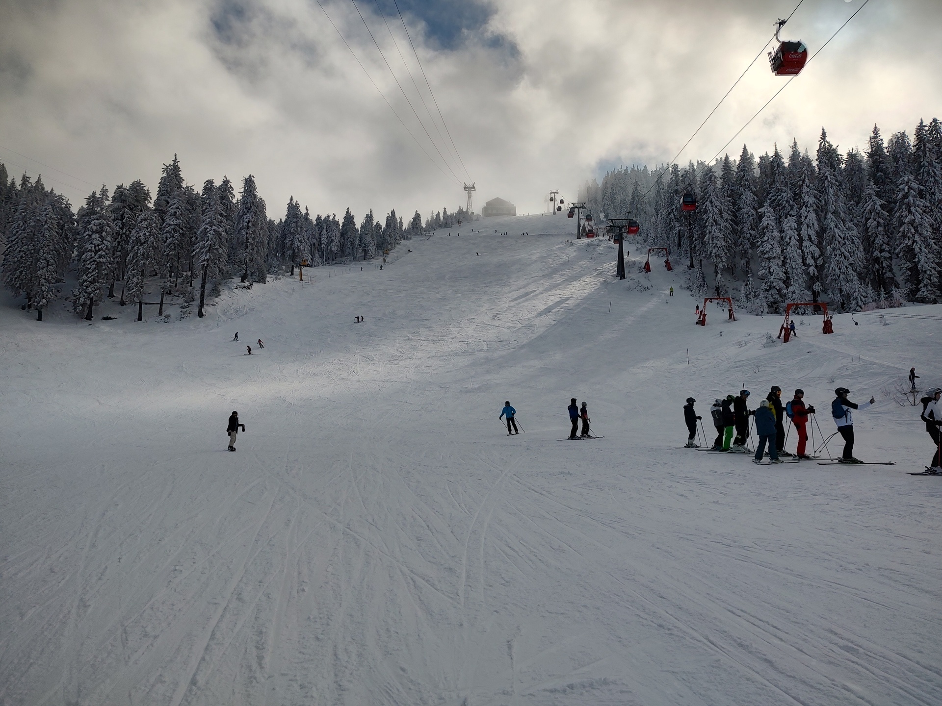 Cursuri si Tabere de schi Poiana Brasov